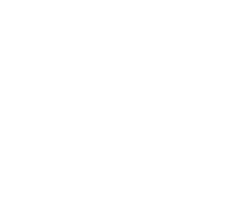 logo fogo